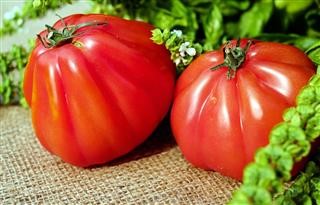 Best Vitamins to Take for Keto Diet