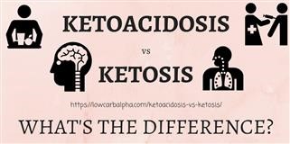 Keto Diet Not Good for Long Term