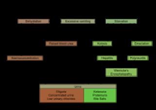 Keto Diet Meal Chart