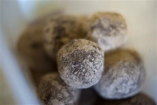 Keto Pills How They Work