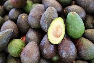 Keto Diet Not Losing Weight