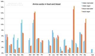 Keto Diet Benefits Muscle