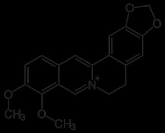 Vitamin Supplement for Keto Diet