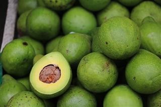 Keto Diet Pills Price