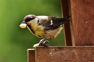 Keto Diet Food List to Avoid