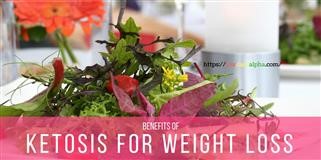 Best Protein Source on Keto Diet