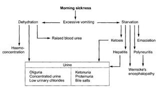 Supplements to Avoid Keto Flu