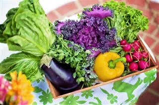 Is Keto Diet Safe or Not