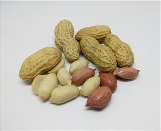 Keto Diet Foods Pdf