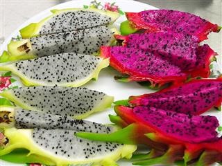 Is Keto Diet Healthy for Type 2 Diabetes