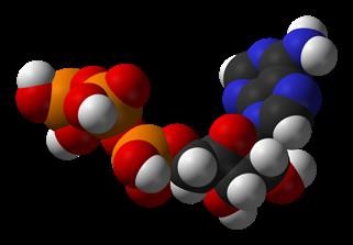 Why Magnesium on Keto Diet