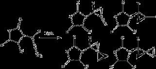 Ketone Supplements on Keto Diet