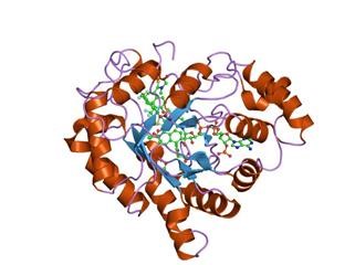 Keto Diet Foods Wiki
