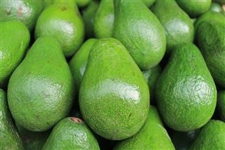 Keto Supplement Ingredients