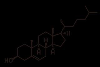 Keto Diet Pills Shark Tank Ingredients